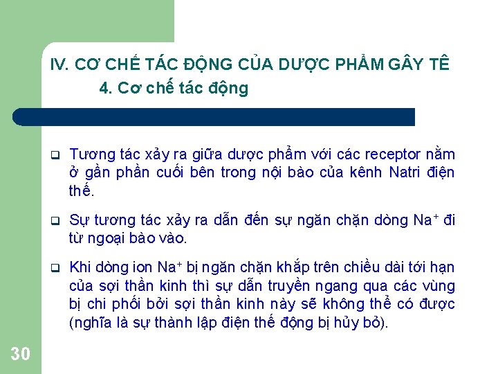 IV. CƠ CHẾ TÁC ĐỘNG CỦA DƯỢC PHẨM G Y TÊ 4. Cơ chế