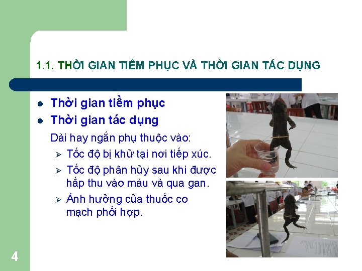 1. 1. THỜI GIAN TIỀM PHỤC VÀ THỜI GIAN TÁC DỤNG l l Thời