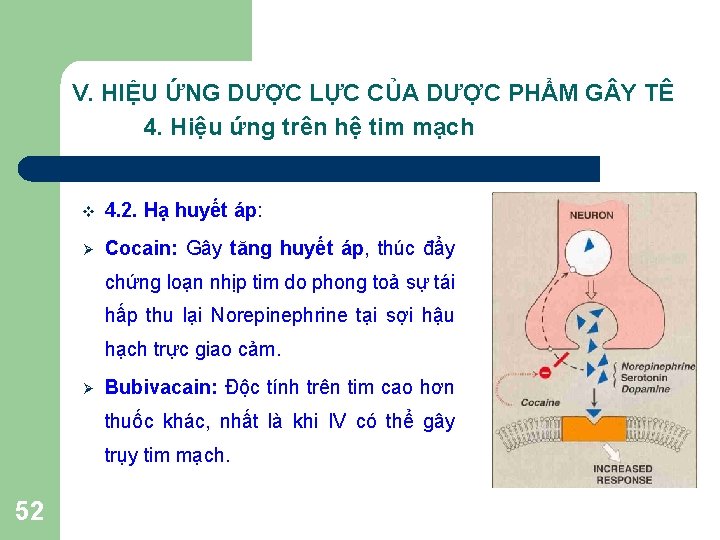 V. HIỆU ỨNG DƯỢC LỰC CỦA DƯỢC PHẨM G Y TÊ 4. Hiệu ứng V. HIỆU ỨNG DƯỢC LỰC CỦA DƯỢC PHẨM G Y TÊ 4. Hiệu ứng