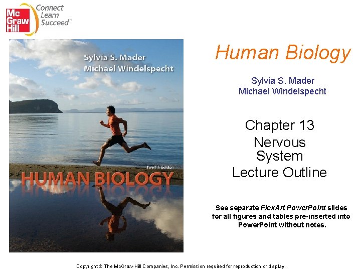 Human Biology Sylvia S. Mader Michael Windelspecht Chapter 13 Nervous System Lecture Outline See