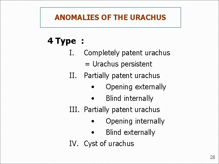 ANOMALIES OF THE URACHUS 4 Type : I. Completely patent urachus = Urachus persistent