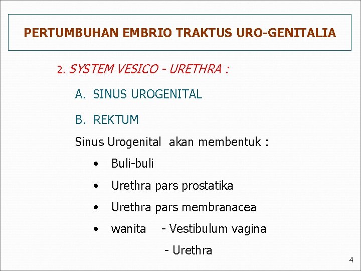PERTUMBUHAN EMBRIO TRAKTUS URO-GENITALIA 2. SYSTEM VESICO - URETHRA : A. SINUS UROGENITAL B. PERTUMBUHAN EMBRIO TRAKTUS URO-GENITALIA 2. SYSTEM VESICO - URETHRA : A. SINUS UROGENITAL B.
