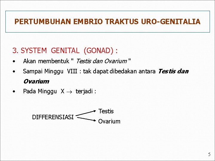 PERTUMBUHAN EMBRIO TRAKTUS URO-GENITALIA 3. SYSTEM GENITAL (GONAD) : • Akan membentuk " Testis