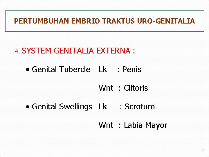 PERTUMBUHAN EMBRIO TRAKTUS URO-GENITALIA 4. SYSTEM GENITALIA EXTERNA : • Genital Tubercle Lk :