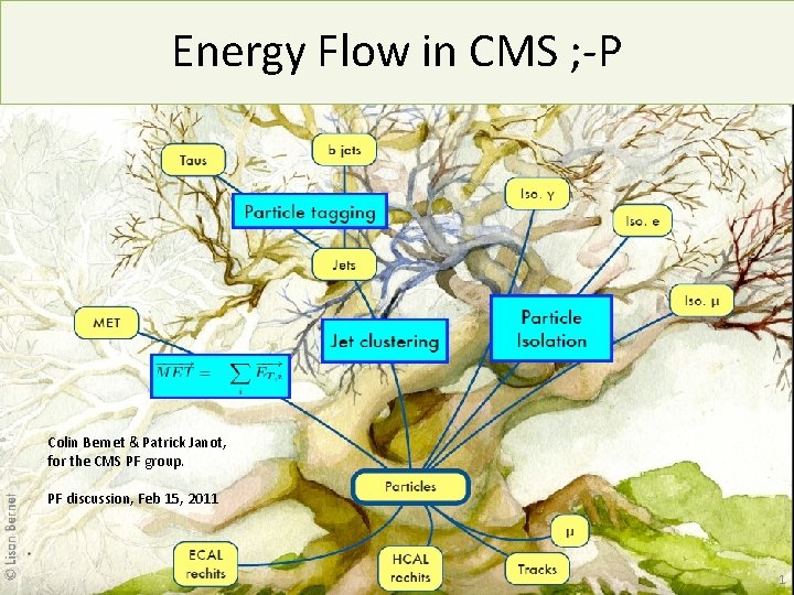 Energy Flow in CMS ; -P Colin Bernet & Patrick Janot, for the CMS