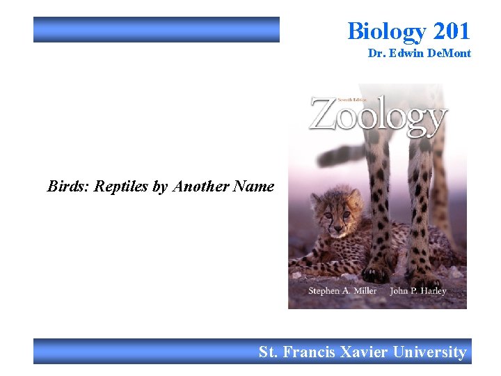 Biology 201 Dr. Edwin De. Mont Birds: Reptiles by Another Name St. Francis Xavier