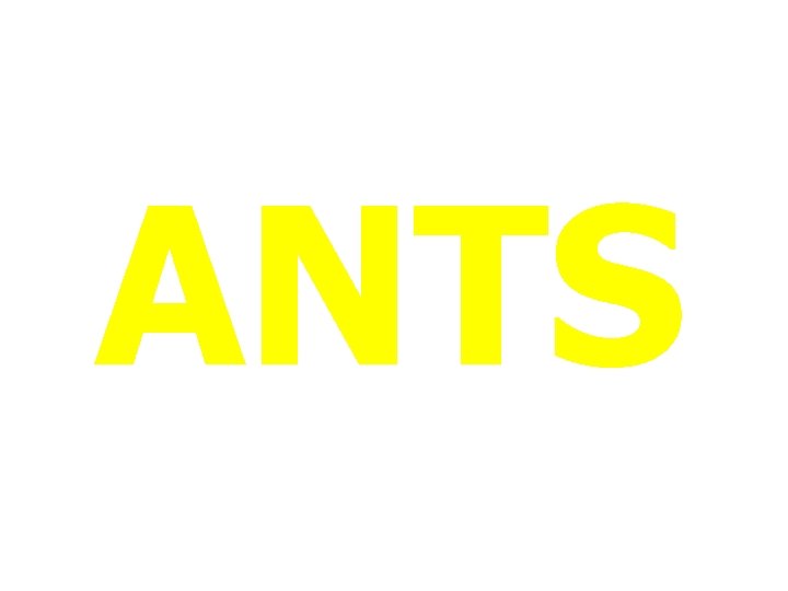 ANTS 