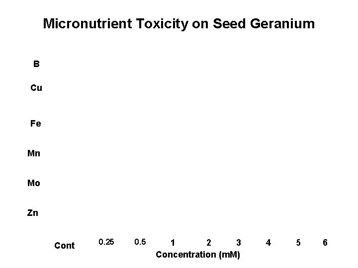 Micronutrient Toxicity on Seed Geranium B Cu Fe Mn Mo Zn Cont 0. 25