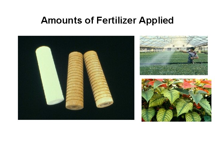Amounts of Fertilizer Applied 