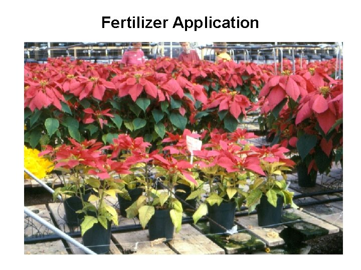 Fertilizer Application 