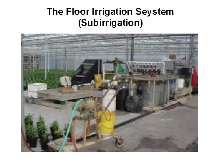 The Floor Irrigation Seystem (Subirrigation) 