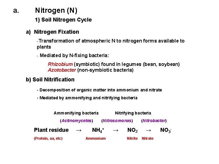 a. Nitrogen (N) 1) Soil Nitrogen Cycle a) Nitrogen Fixation -Transformation of atmospheric N