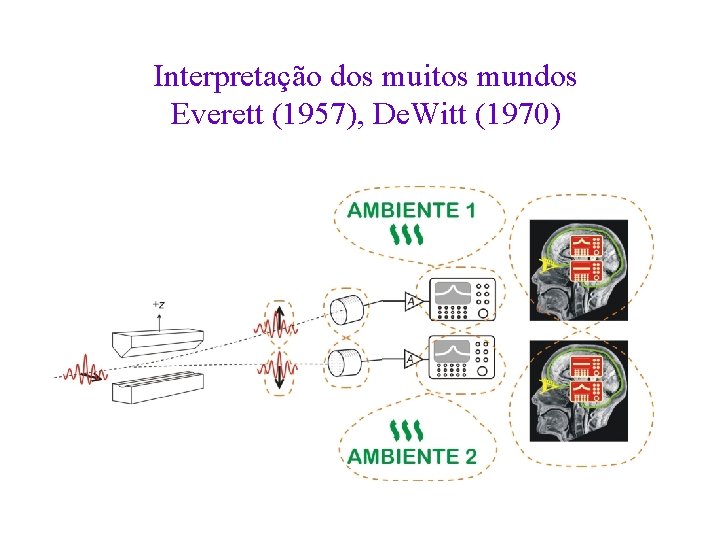 Interpretação dos muitos mundos Everett (1957), De. Witt (1970) 