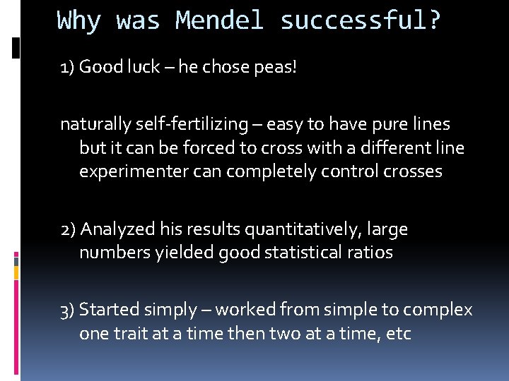 Why was Mendel successful? 1) Good luck – he chose peas! naturally self-fertilizing –