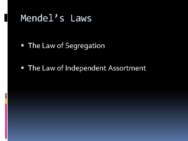 Mendel’s Laws The Law of Segregation The Law of Independent Assortment 
