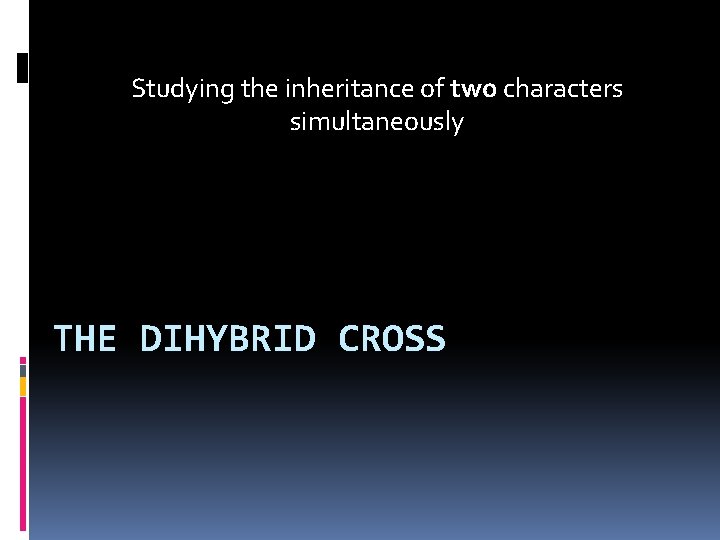 Studying the inheritance of two characters simultaneously THE DIHYBRID CROSS 