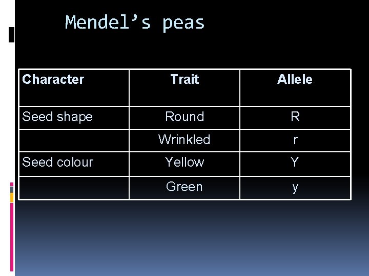 Mendel’s peas Character Seed shape Seed colour Trait Allele Round R Wrinkled r Yellow