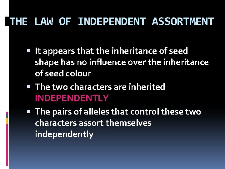 THE LAW OF INDEPENDENT ASSORTMENT It appears that the inheritance of seed shape has