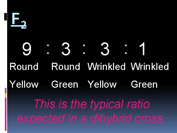 F 2 9 : 3 : 1 Round Wrinkled Yellow Green This is the