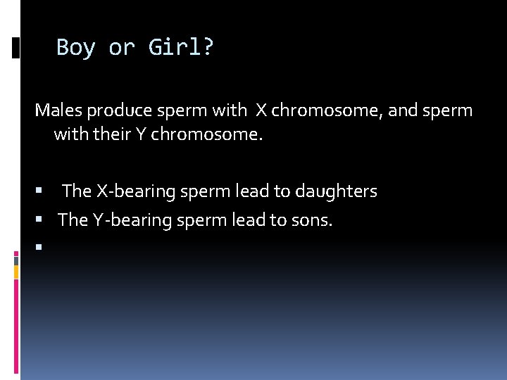 Boy or Girl? Males produce sperm with X chromosome, and sperm with their Y