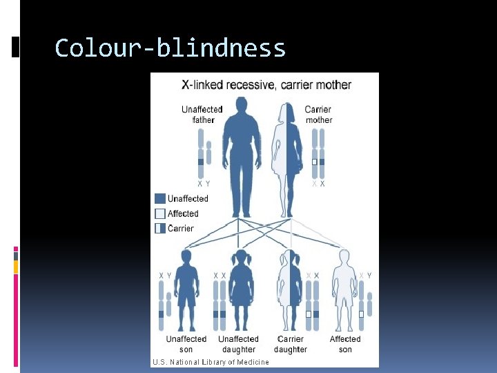 Colour-blindness 