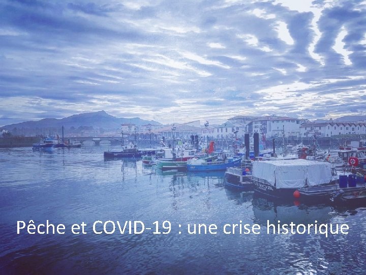 Pêche et COVID-19 : une crise historique 