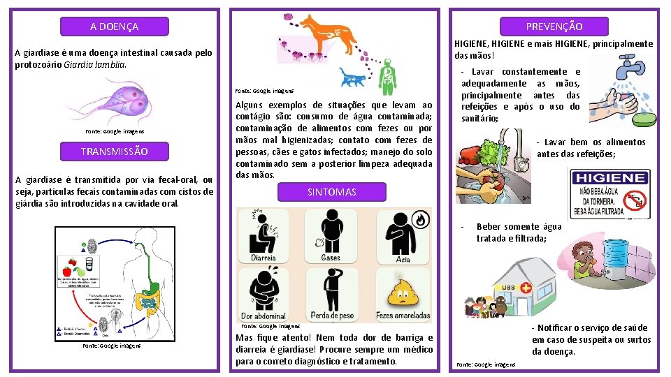 A DOENÇA PREVENÇÃO HIGIENE, HIGIENE e mais HIGIENE, principalmente das mãos! A giardíase é