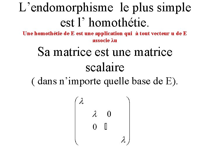 L’endomorphisme le plus simple est l’ homothétie. Une homothétie de E est une application