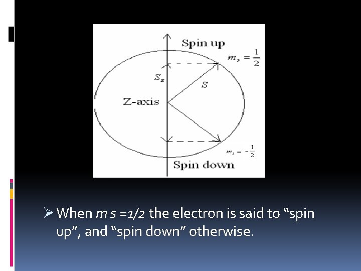 Ø When m s =1/2 the electron is said to “spin up”, and “spin