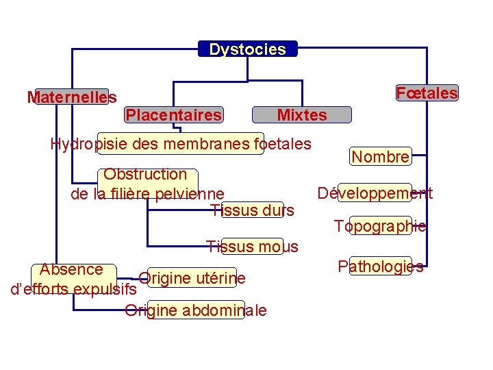 Dystocies Maternelles Fœtales Placentaires Mixtes Hydropisie des membranes foetales Obstruction de la filière pelvienne