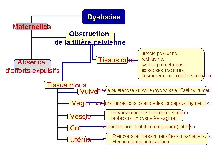 Dystocies Maternelles Obstruction de la filière pelvienne Tissus durs Absence d’efforts expulsifs atrésie pelvienne