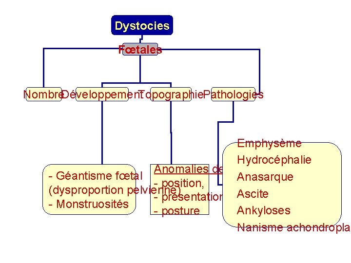 Dystocies Fœtales Nombre. Développement. Topographie. Pathologies Emphysème Hydrocéphalie Anomalies de - Géantisme fœtal Anasarque