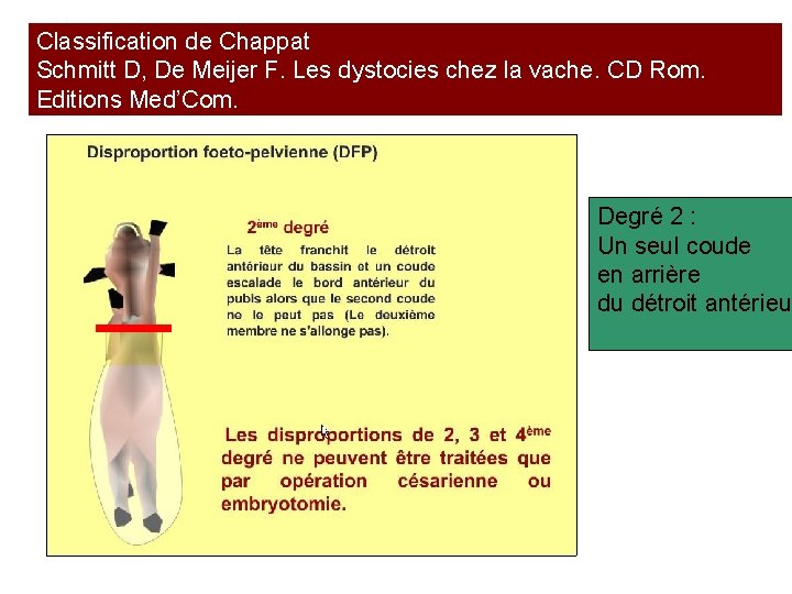 Classification de Chappat Schmitt D, De Meijer F. Les dystocies chez la vache. CD