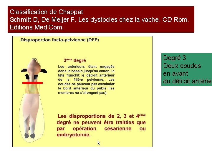 Classification de Chappat Schmitt D, De Meijer F. Les dystocies chez la vache. CD