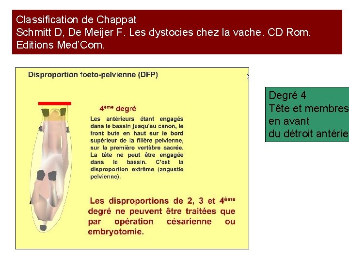 Classification de Chappat Schmitt D, De Meijer F. Les dystocies chez la vache. CD