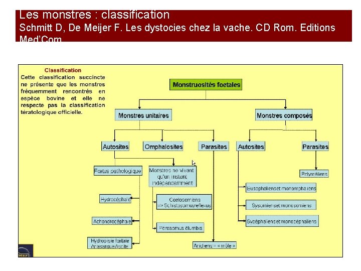 Les monstres : classification Schmitt D, De Meijer F. Les dystocies chez la vache.