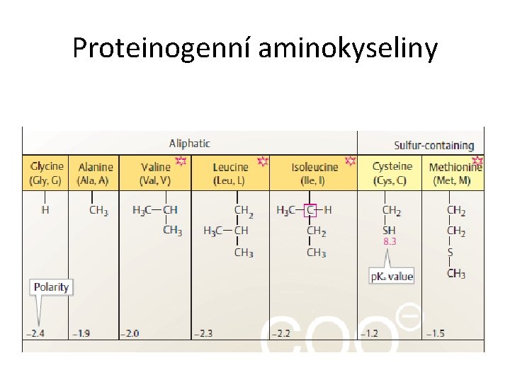 Proteinogenní aminokyseliny 