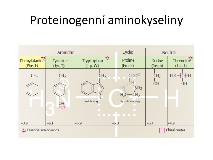 Proteinogenní aminokyseliny 