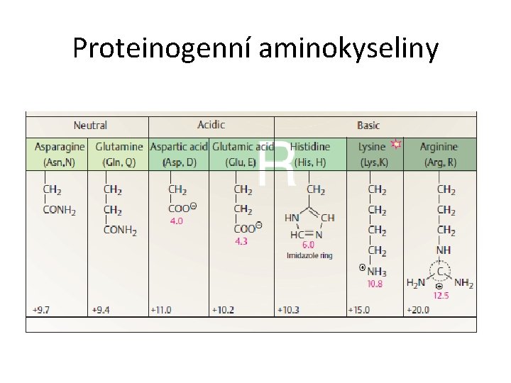 Proteinogenní aminokyseliny 