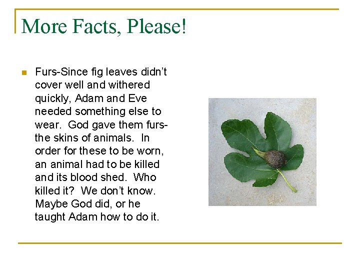 More Facts, Please! n Furs-Since fig leaves didn’t cover well and withered quickly, Adam