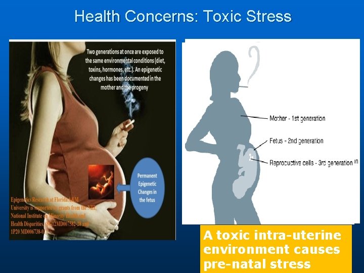 Health Concerns: Toxic Stress A toxic intra-uterine environment causes 17 pre-natal stress 