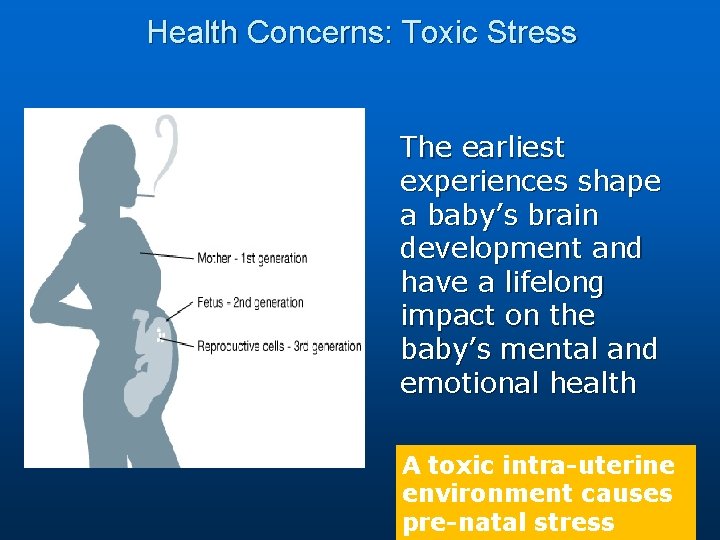 Health Concerns: Toxic Stress The earliest experiences shape a baby’s brain development and have