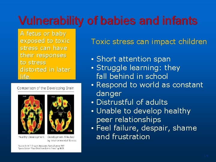 Vulnerability of babies and infants A fetus or baby exposed to toxic stress can