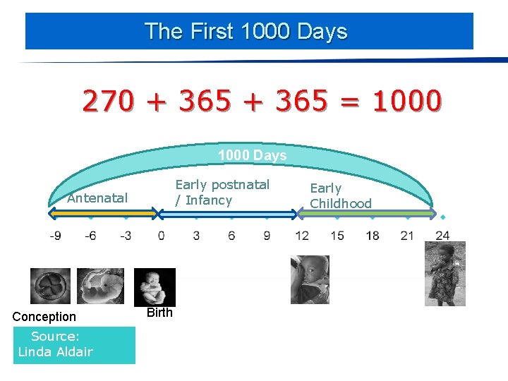 The First 1000 Days 270 + 365 = 1000 Days Early postnatal / Infancy