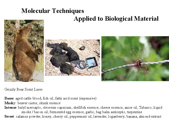 Molecular Techniques Applied to Biological Material Grizzly Bear Scent Lures Bases: aged cattle blood,