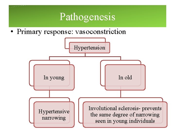 Pathogenesis • Primary response: vasoconstriction Hypertension In young In old Hypertensive narrowing Involutional sclerosis- Pathogenesis • Primary response: vasoconstriction Hypertension In young In old Hypertensive narrowing Involutional sclerosis-