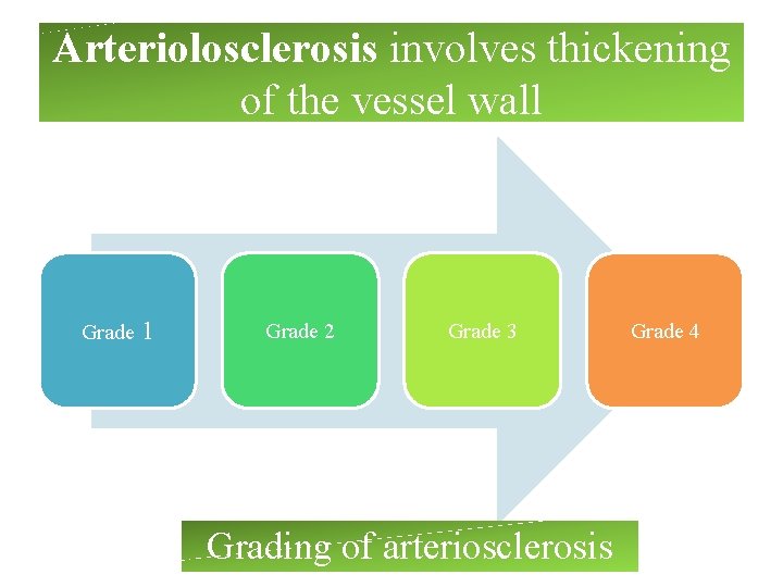 Arteriolosclerosis involves thickening of the vessel wall Grade 1 Grade 2 Grade 3 Grading Arteriolosclerosis involves thickening of the vessel wall Grade 1 Grade 2 Grade 3 Grading