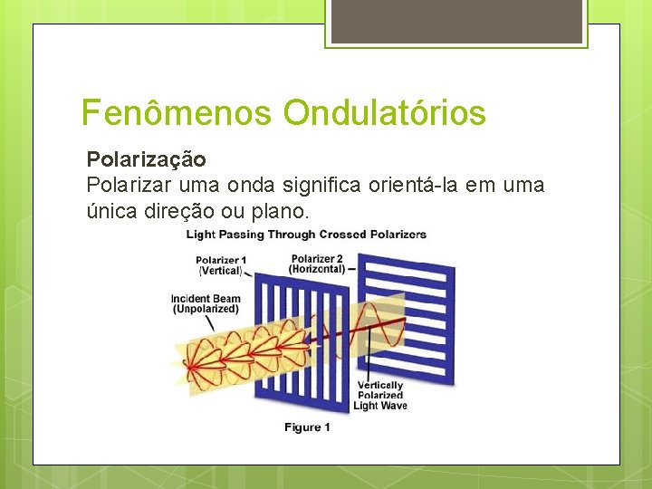 Fenômenos Ondulatórios Polarização Polarizar uma onda significa orientá-la em uma única direção ou plano.