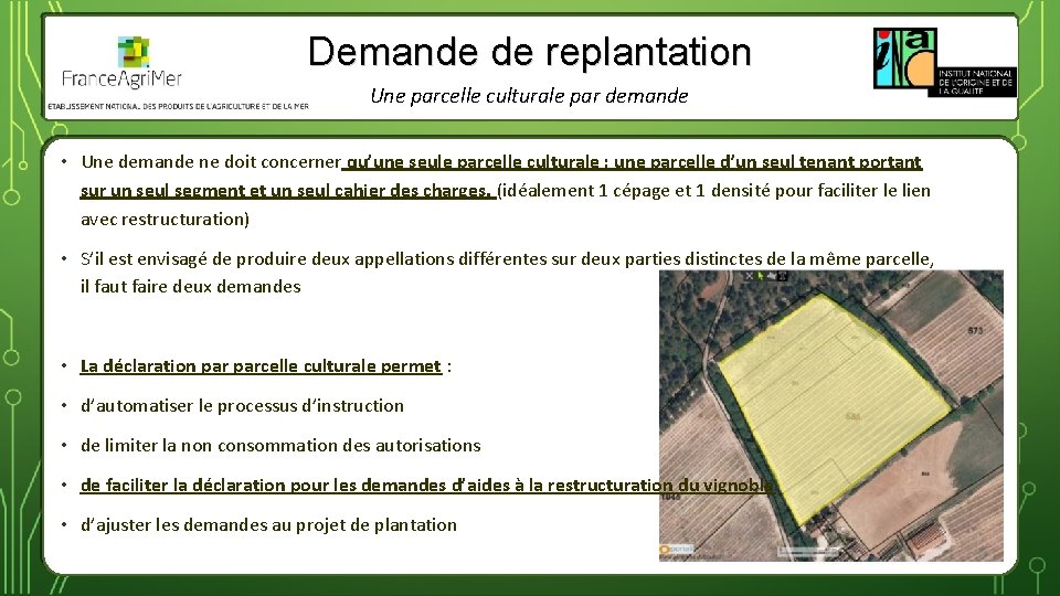 Demande de replantation Une parcelle culturale par demande • Une demande ne doit concerner
