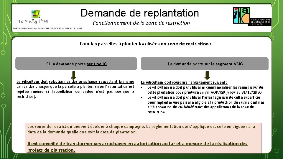 Demande de replantation Fonctionnement de la zone de restriction Pour les parcelles à planter